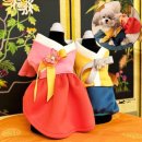 비비드독 이미지