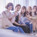 청춘오리 이미지