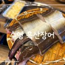 흑산장어