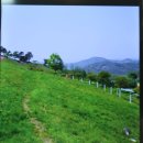 범일농장 이미지