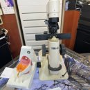 우리들안경원 이미지