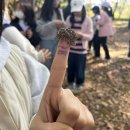 정암초 4학년 숲해설·생태교육 후기 이미지