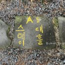 제주스테이대흘 이미지