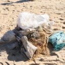 황골해변 이미지