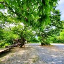 밤나무산장 이미지