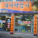 대아약업사 Daum카페