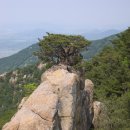 화왕산 암송 이미지