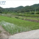 구산면517 이미지