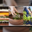 농업회사법인 정다운(주) 네이버블로그