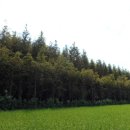 김재윤 농장2 이미지