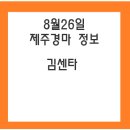 제주경마정보