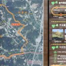 봉화산 솔바람길 이미지