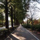 인천가족공원 이미지