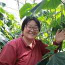 새한농장 이미지