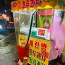 신(辛)청진동해장국 | 2026년 3월 다섯째주 - 4월 첫째주 주간일기