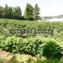 사계비전공인중개사사무소 이미지