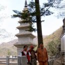 한반도 황토 민박 이미지