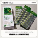 한홀초등학교 | 홀베리 와사비다이어트 체중관리 고민할 때 딱 좋았던 솔직 후기