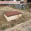 진전면927 이미지