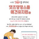 댓츠댕댕스쿨 이미지