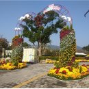 삼락생태공원 일원 행사장 이미지