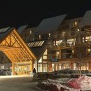 Otter(오터) | 밴프 오터 호텔(Otter Hotel) 루프탑 노천탕 후기 &amp; 트래블 월렛 결제 오류 주의 사항