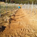 물골농장 이미지