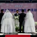 팬스타라인닷컴 이미지