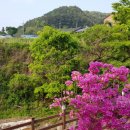 상한 농촌체험 휴양마을 이미지