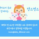 고고하개 이미지