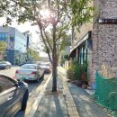 중로(보)2-1-5 이미지