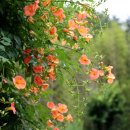 용소 보건진료소 이미지