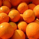 벼리농장 이미지