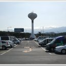 설록차전시관 이미지