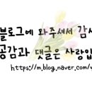 오셔젤라또