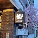 청주고양이입양지원센터 애니멀공화국 이미지