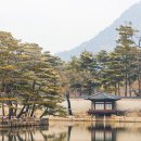 상업용18 | 실학파 농정·상업 개혁 사상 알아보기