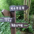 백운동 정원 이미지