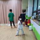 용인대 금메달 태권도장 이미지