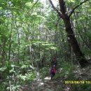 (주)겸산 | 30. 군자산 ( 속리산 국립공원 ) ( 도마골 - 군자산 - 솔밭주차장 )