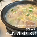 복음병원입구(1191) | 부산 송도해수욕장 24시간 돼지국밥 맛집 최고밀양 돼지국밥 부산송도점 내돈내산(+주차정보)