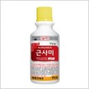 스타벅스 앞 이미지