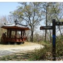 금남면사무소 이미지