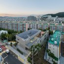 (주)마루엔지니어링 건축사사무소 | 주례열린도서관 - 2025 한국건축문화대상 공공부문 대상 <GRAND PRIZE>