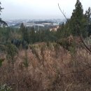 서호동-21 이미지