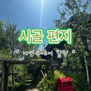 <횡성 카페> 시골 리틀 포레스트 감성 카페 - 안흥면 시골편지