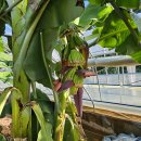 사랑지기 이미지