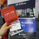 냥집사의 2017 케이캣페어 리얼 후기!!!