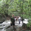어비산 정상(829m) 이미지