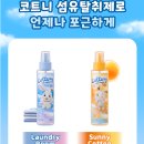 코트니룸 이미지